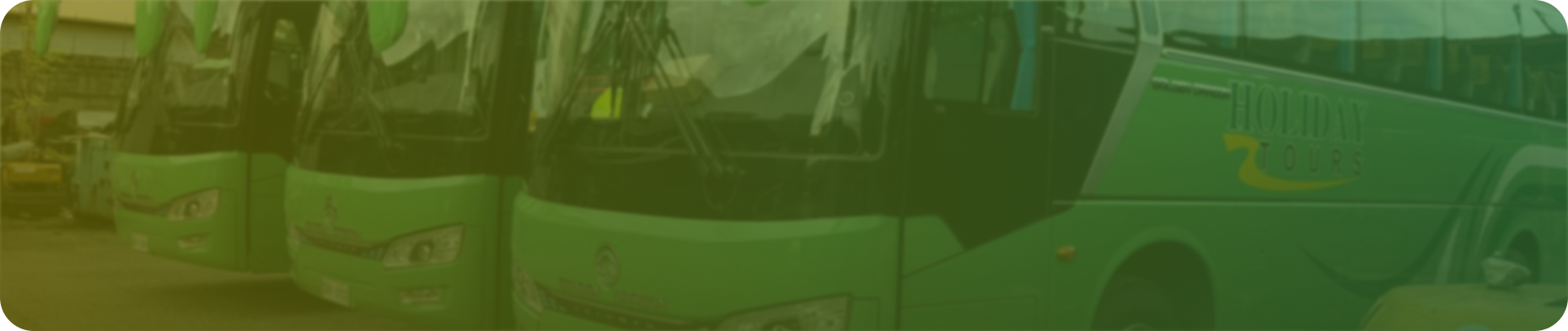 Holiday Tours
